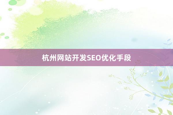 杭州网站开发SEO优化手段