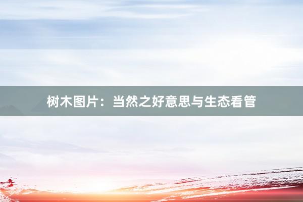 树木图片：当然之好意思与生态看管