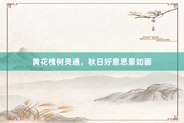黄花槐树灵通，秋日好意思景如画