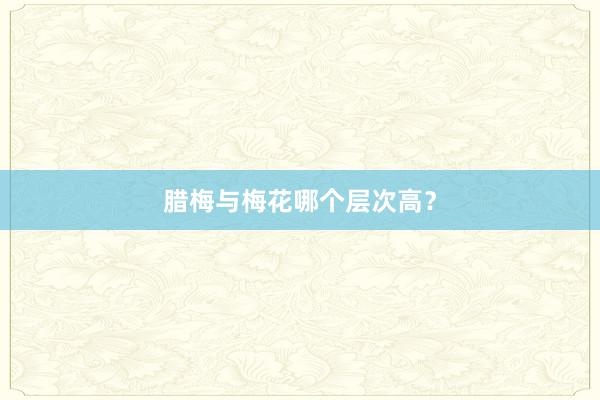 腊梅与梅花哪个层次高？