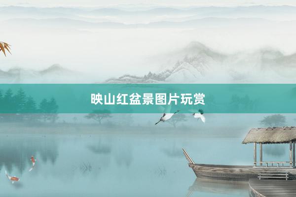 映山红盆景图片玩赏